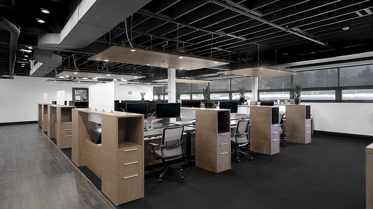 Office Interior Open-plan office with row of wooden cubicles, ergonomic chairs, monitors, plants on dividers, large windows.